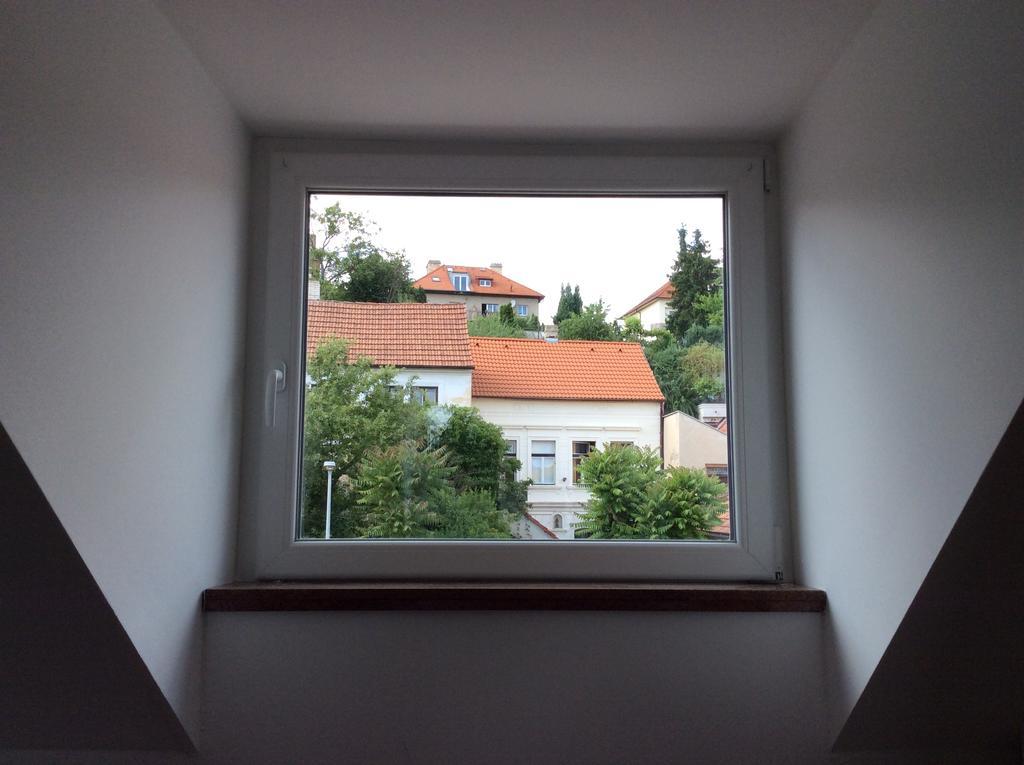 Lev I Sova * Praga